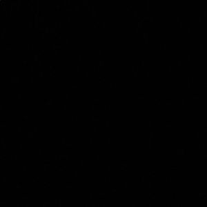 Meet your Posher, Janene